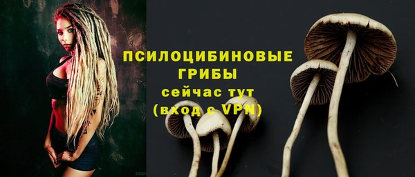 индика Майский