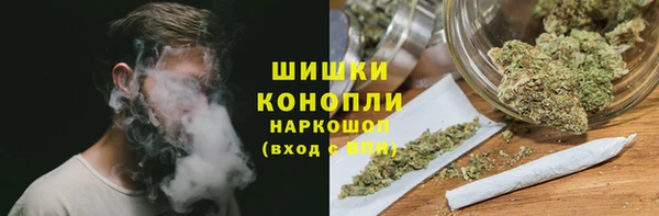 мдпв Магас