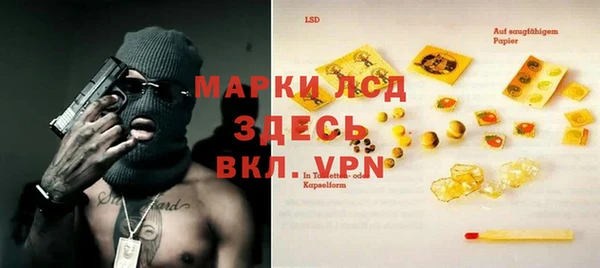индика Майский