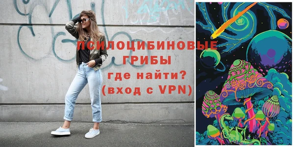 мдпв Магас