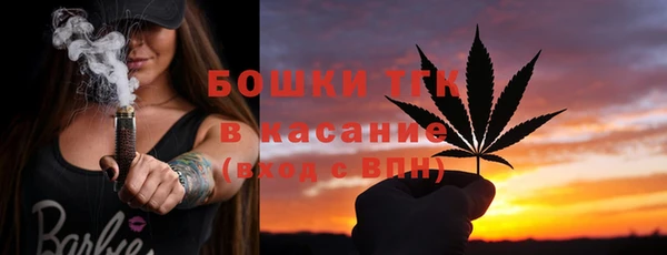 мдпв Магас
