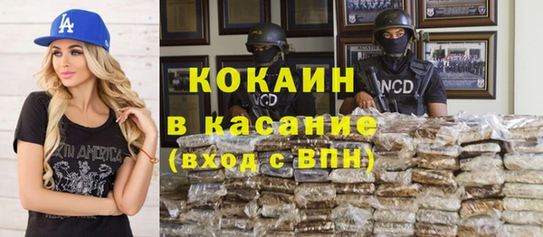 индика Майский