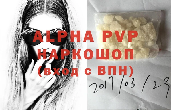 индика Майский