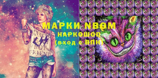 индика Майский