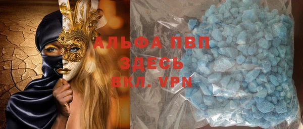 индика Майский