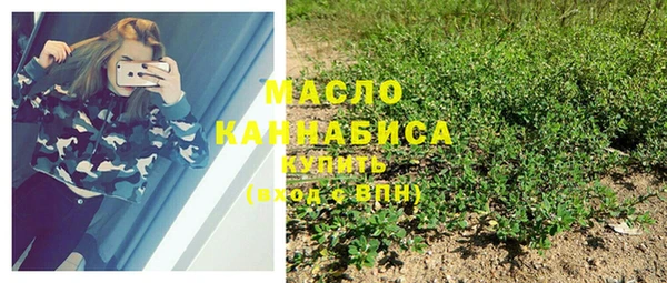 индика Майский